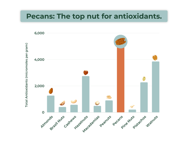 PecanAntoxidantChart-LandingPg